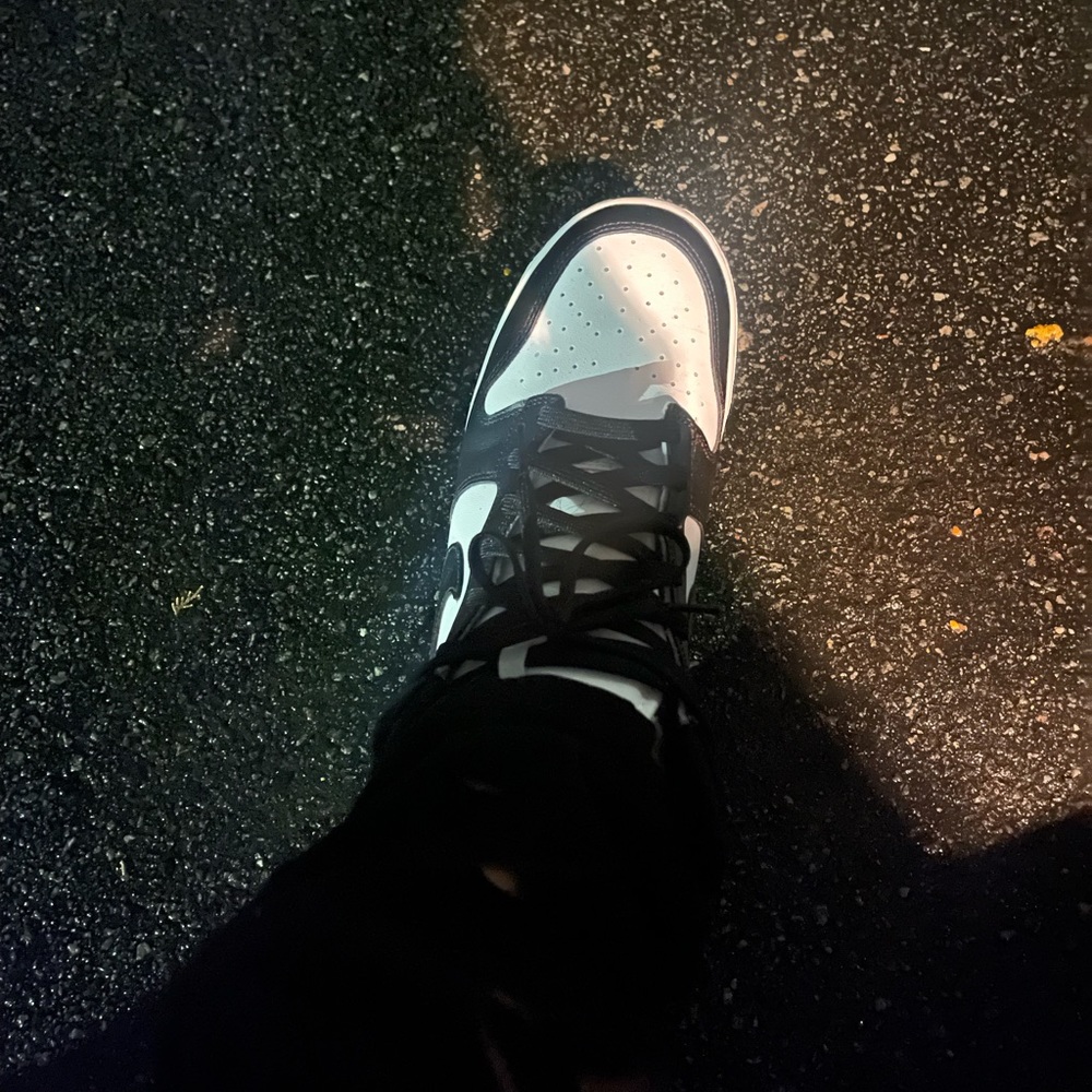 Nike Dunk High “Panda”…2021.